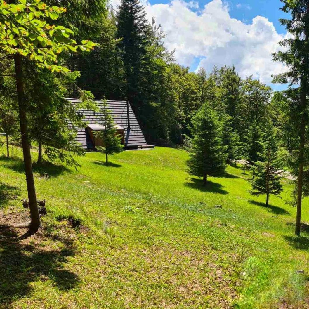 Vrleti Tare Villa Bajina Basta Exterior photo
